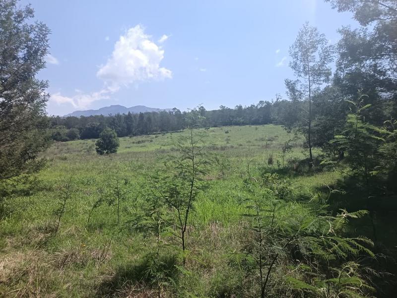 0 Bedroom Property for Sale in Albertinia Western Cape